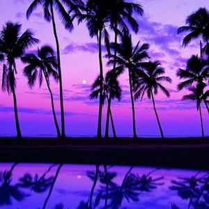 Meet your Posher, Tess